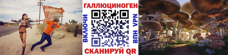 продажа наркотиков гидра как войти Галлюциногенные грибы ЛСД Грязи
