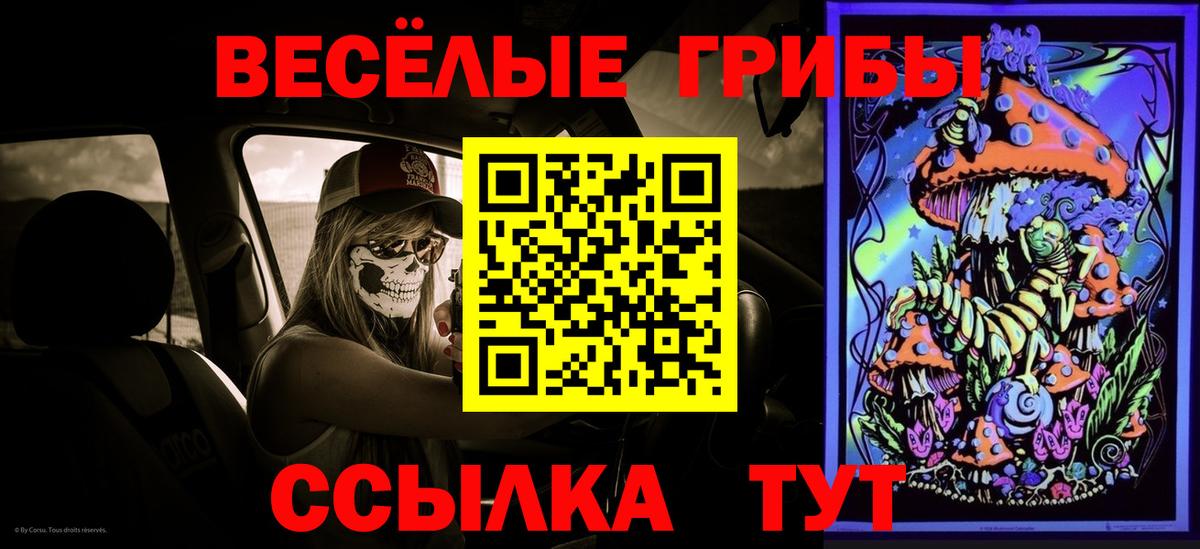 Галлюциногенные грибы ЛСД Грязи