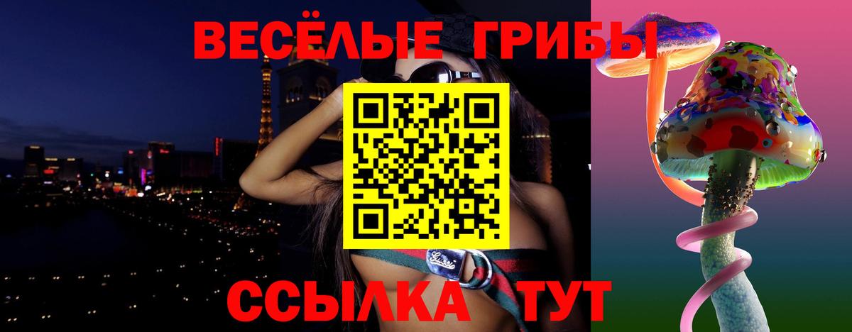 Грязи  купить  цена  Вход с VPN  Галлюциногенные грибы ЛСД  Псилоцибиновые грибы Cubensis 