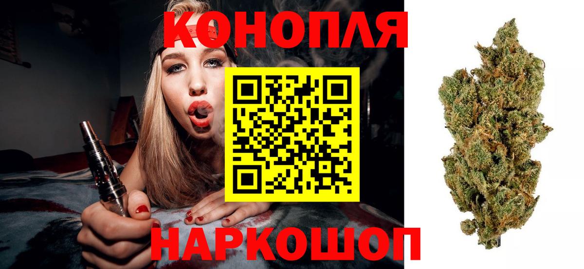 Бошки марихуана семена  Каннабис планчик  Вход с VPN  Грязи 